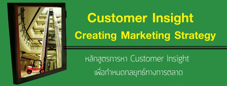 Customer Insight Creating Marketing Strategy