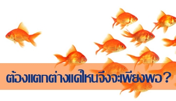 กลยุทธ์สร้างความแตกต่าง : ต้องแตกต่างแค่ไหนจึงจะเพียงพอ?