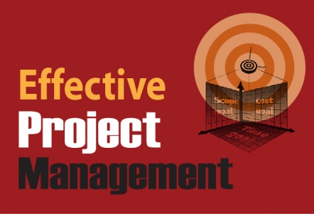 Effective Project Management Program