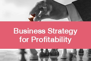 Business Strategy for Profitability