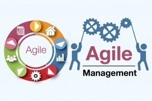 Agile Management