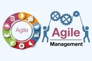 Agile Management