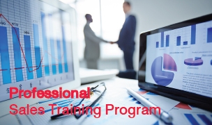 Professional Sales Training Program