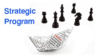 Strategic Management Program